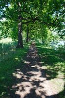 Padje langs de Vecht