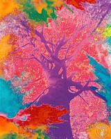 Se promener du côté sauvage