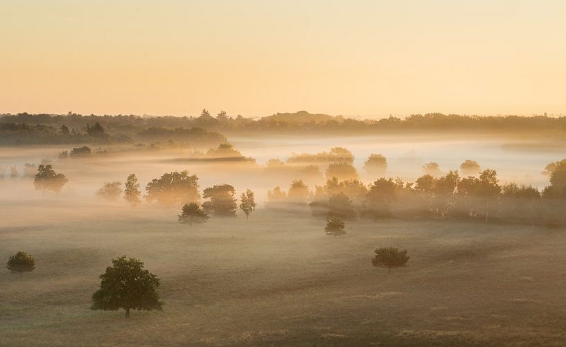 Golden hour by Diana Mieras