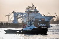 Schlepper CV Cheetah und Allseas' Oceanic