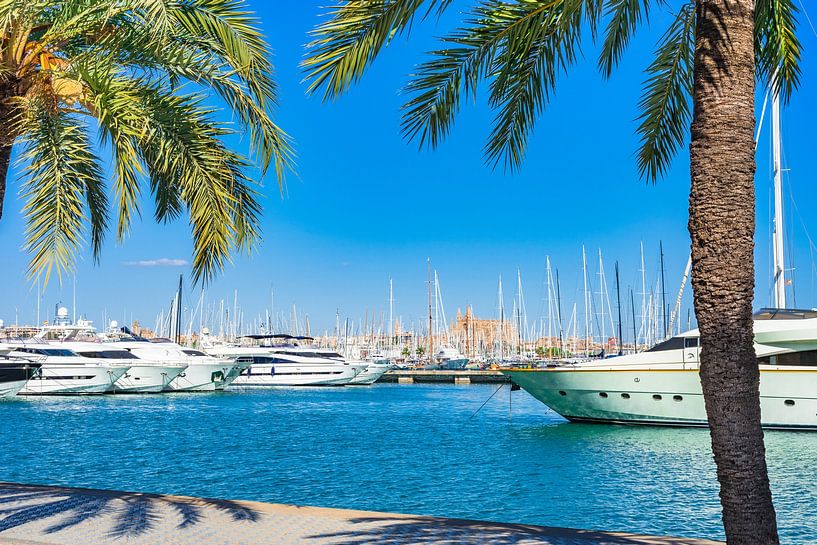 Luxury yachts at marina of Palma de Majorca, Spain by Alex Winter