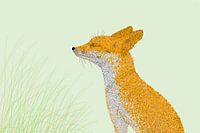 Digitale Kunst im Stil des Pointillismus Kunstwerk junger Fuchs