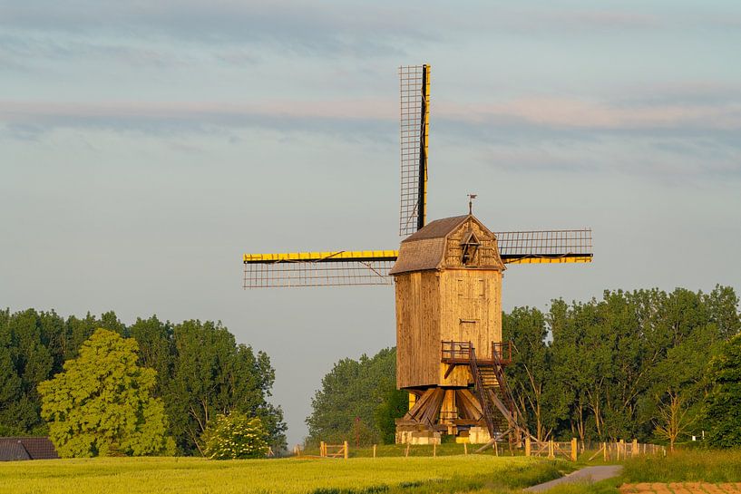 Eine Windmühle am Morgen von Marcel Derweduwen