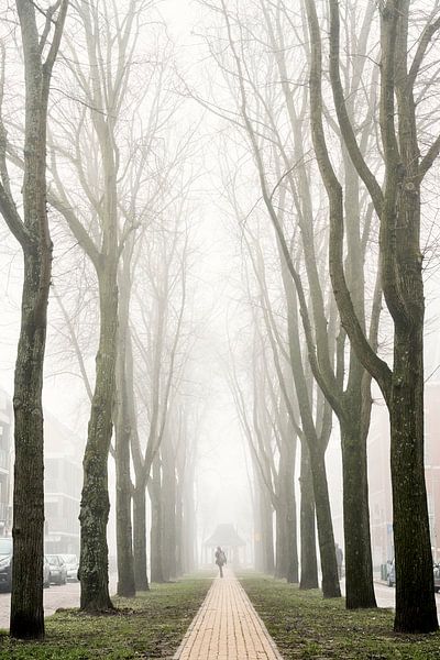 Foggy morning in The Hague by Sjoerd van der Hucht