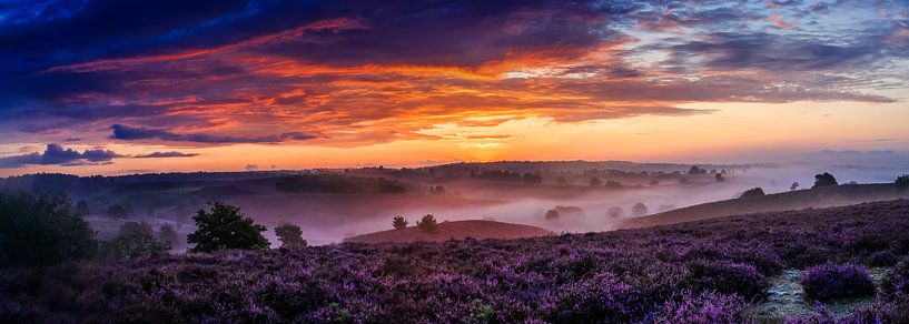 Le don de la nature par Robert Stienstra