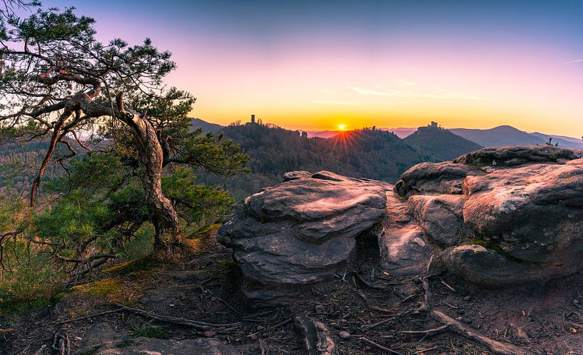 Vue dans la forêt palatine par Christian Klös