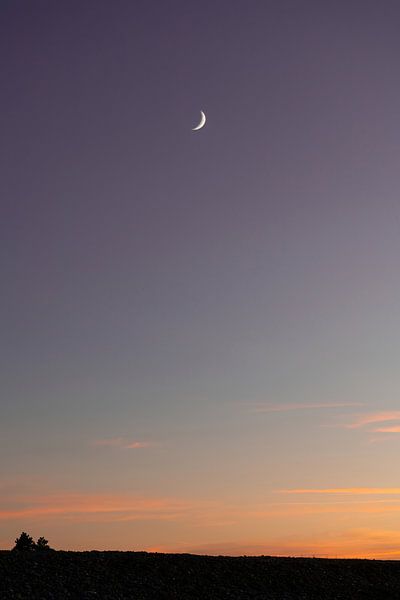 Mondsichel bei Sonnenuntergang von Robin van Steen