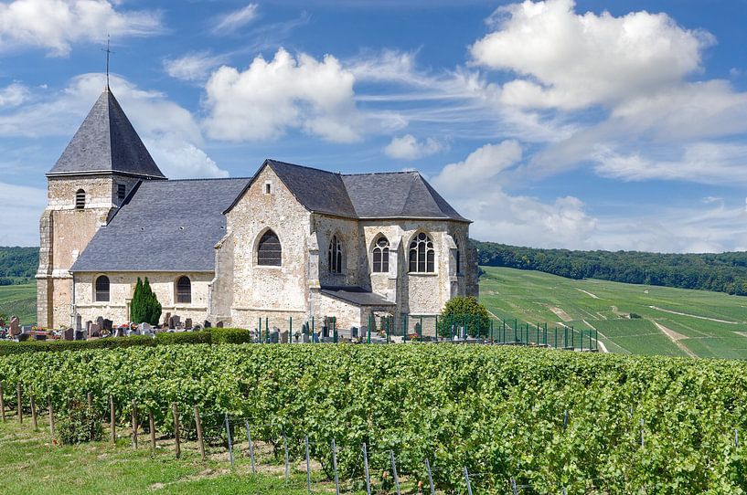 Saint Martin de Chavot,Champagne region,Epernay von Peter Eckert