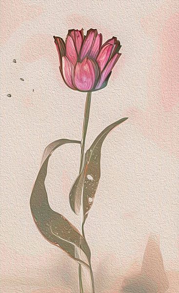 eine Tulpe von Karin van Bylevelt
