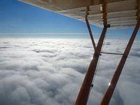 Träumen unter den Flügeln