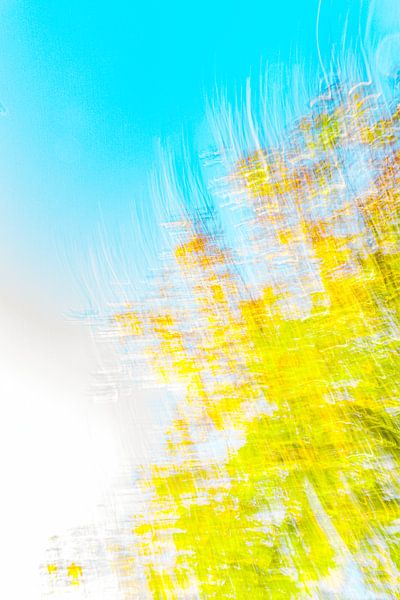 yellow blue with white by Jan Peter Jansen