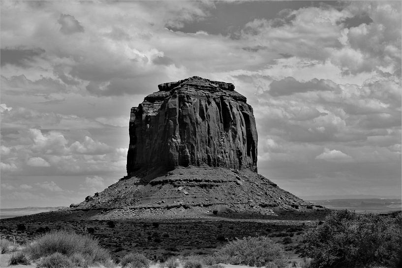 monument valley von Christiaan Van Den Berg