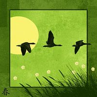 4 series of seasons, 1 spring