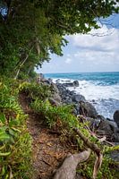 Zerklüftete Küstenlinie bei Capurganá Kolumbien