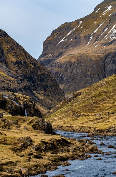 A natural painting by Jitse de Graaf