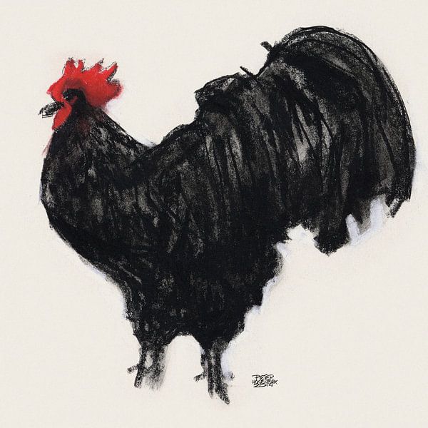Zwarte Haan by Pieter Hogenbirk