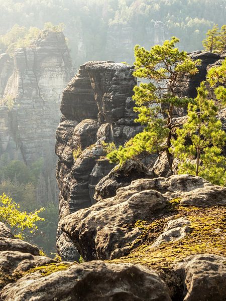 Bärenhorn view in Saxon Switzerland towards Kleines Bärenhorn by Pixelwerk