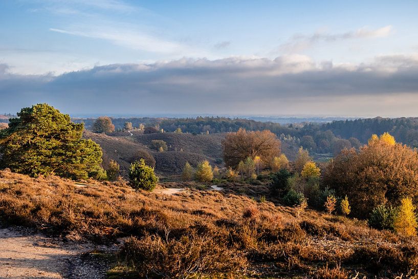 Vue de la Posbank. par Janny Beimers