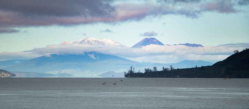 Panorama Tongariro-Nationalpark, Neuseeland von Nynke Altenburg