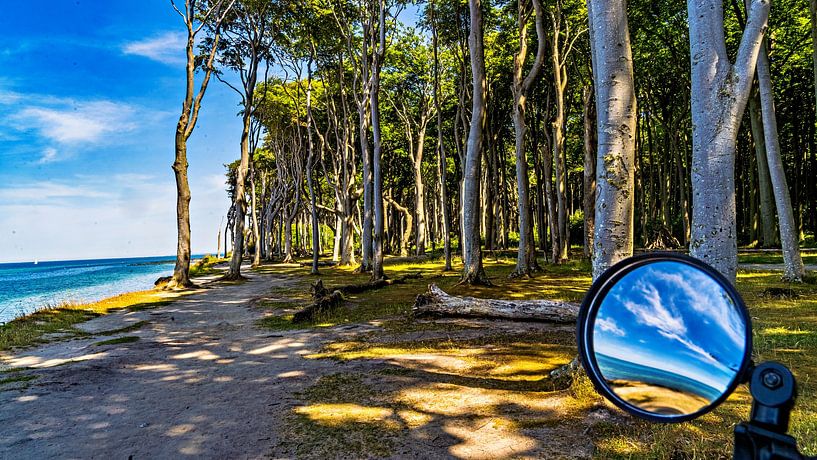 Ostsee Gespensterwald von Johnny Flash