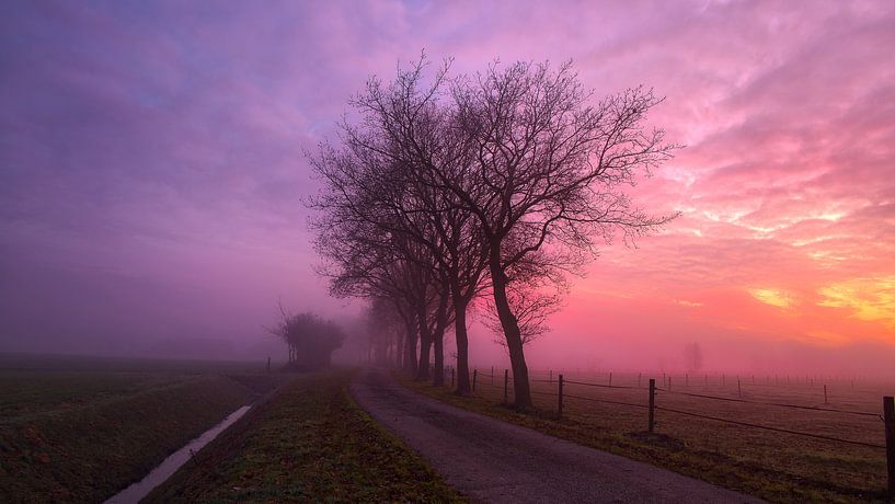 The other way by Anneke Hooijer