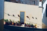 Maison à Alcantarilha, Portugal