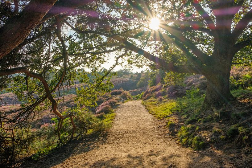 Blick durch die Posbank von Natascha Teubl