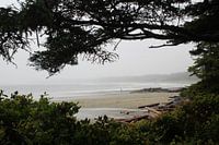 Beach in Tofino   Schooner Cove