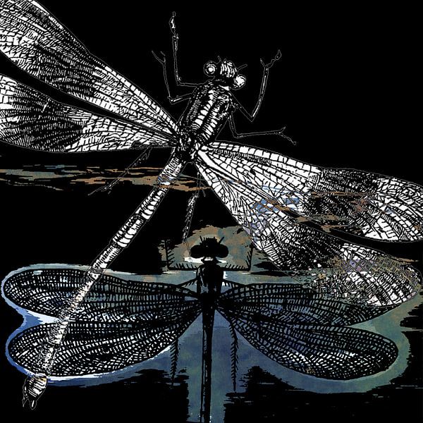DRAGONFLY meets a friend II von Pia Schneider
