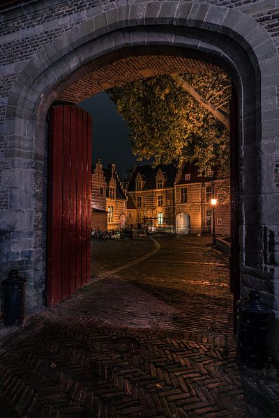 Stadspaleis Markiezenhof in Bergen op Zoom van Rick van Geel