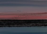 Geschenke der Gnade (4)