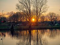 Sun low over village, trees reflect in canal