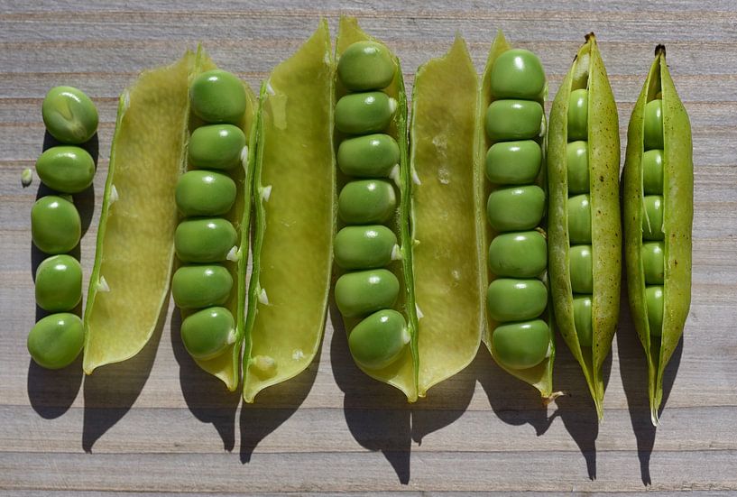 peas side by side by Ulrike Leone