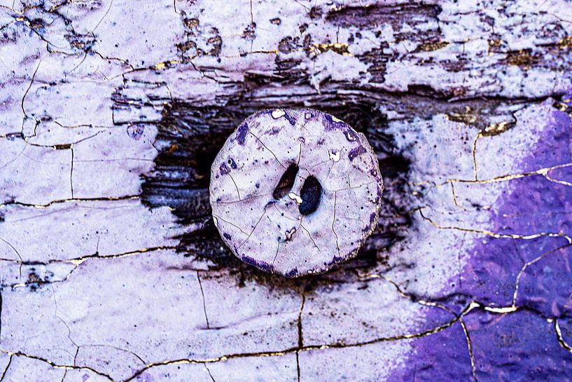 Lila Schweinsnase aus alter Farbe von Flatfield