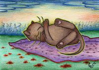 Bunte Katzenzeichnung