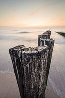 The groynes