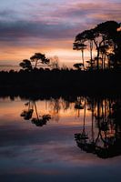 Sonnenaufgang an den Oisterwijker Seen