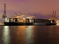 Ever Govern (Evergreen)