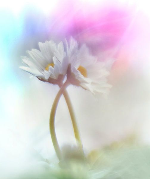 together by Remco loeffen