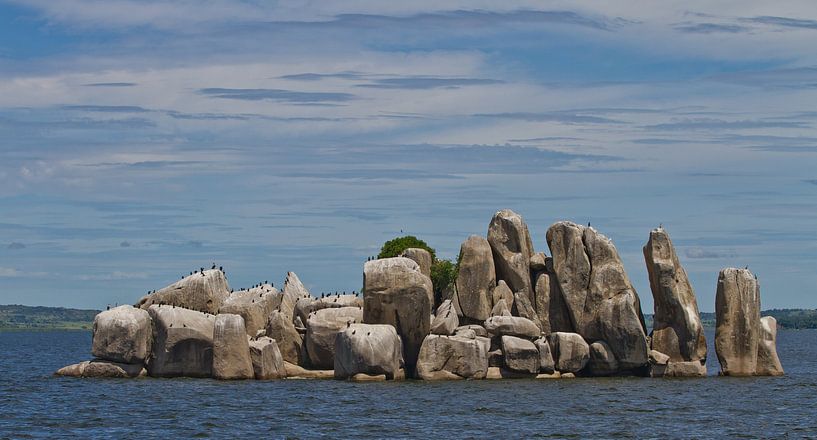 Cormorants on a rocky island in Lake Victoria, Tanzania by Peter van Dam