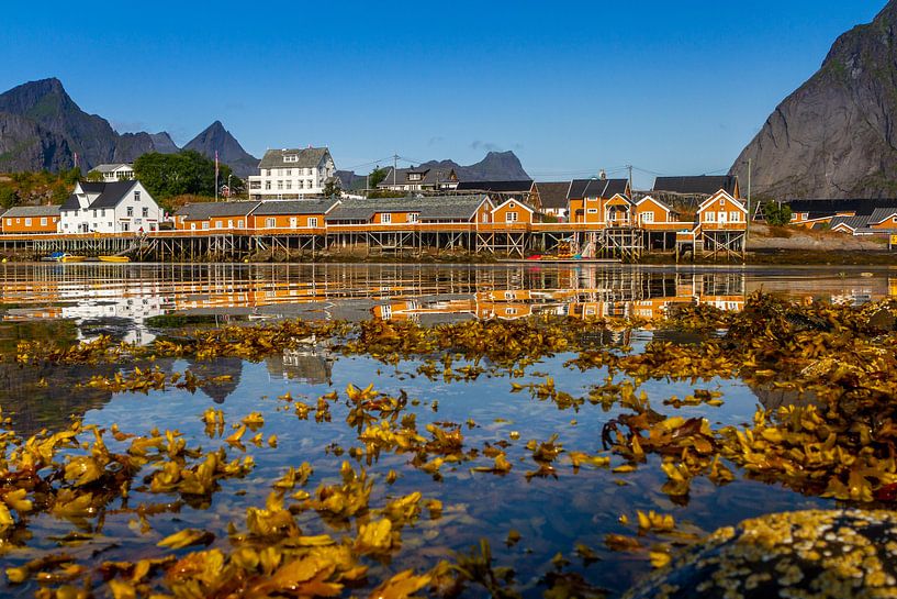Die gelben Häuser von Sakrisøy auf den Lofoten von Hamperium Photography