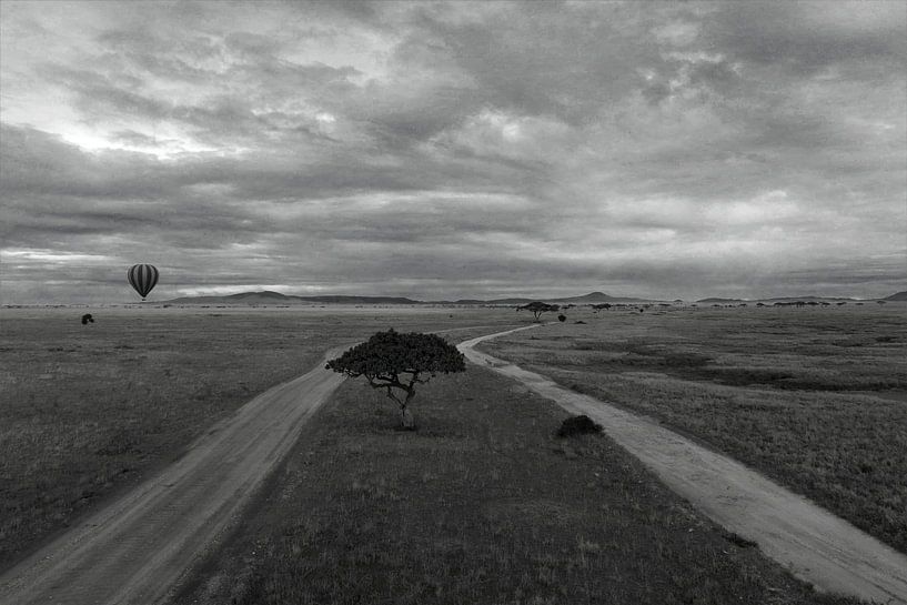 Panorama of the serengeti by Bart van Mastrigt