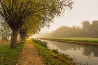 Matinée d'automne à la Tweemolentjeskade, Delft