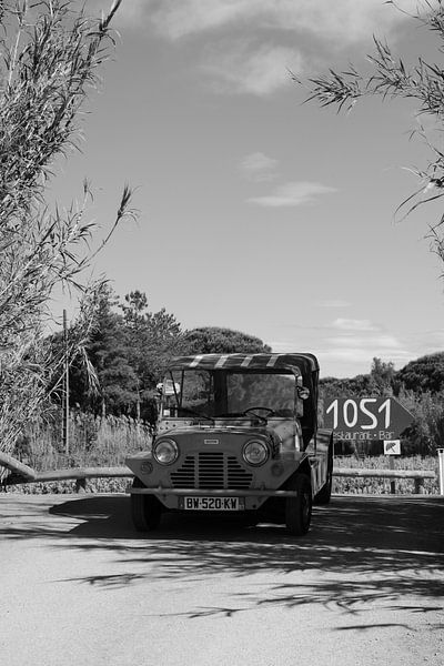 Plage 1051 Pampelonne von Tom Vandenhende