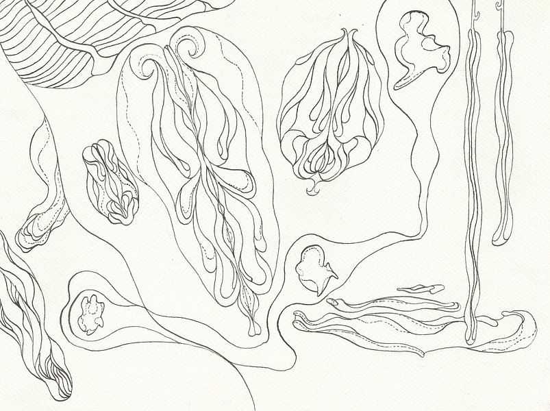 Schwebend Amorphes von Sandro Cocco