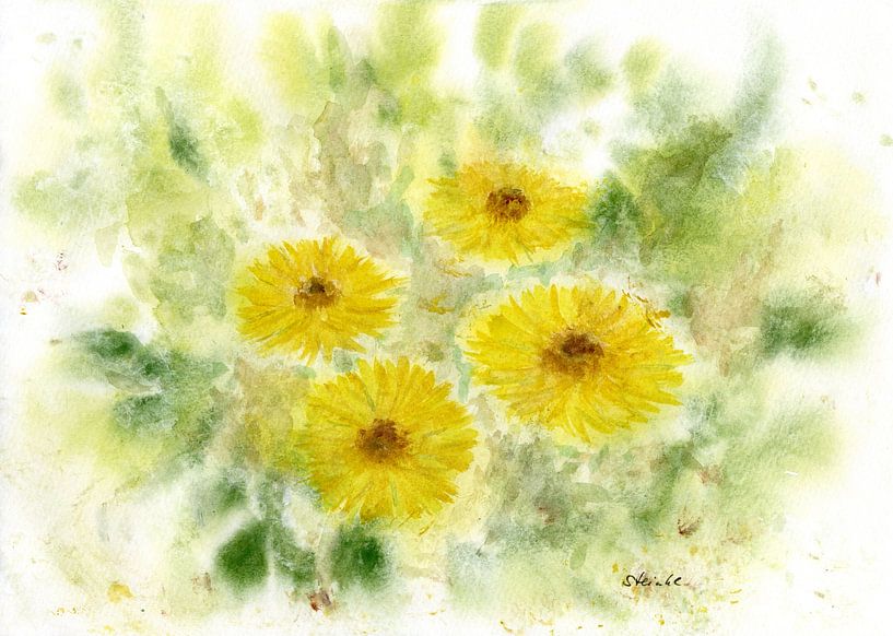 Sonnenhut von Sandra Steinke