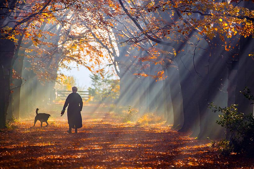 Nebliger Herbsttag von Niels  de Vries