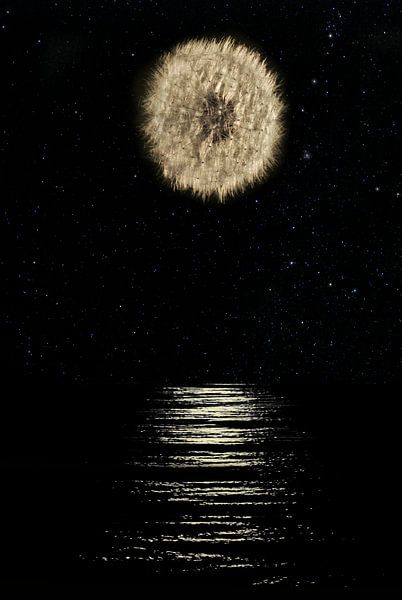 Ceci n'est pas la Lune (Nicht der Mond) von Corinne Welp