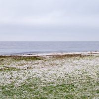 Florida beach moody weather square
