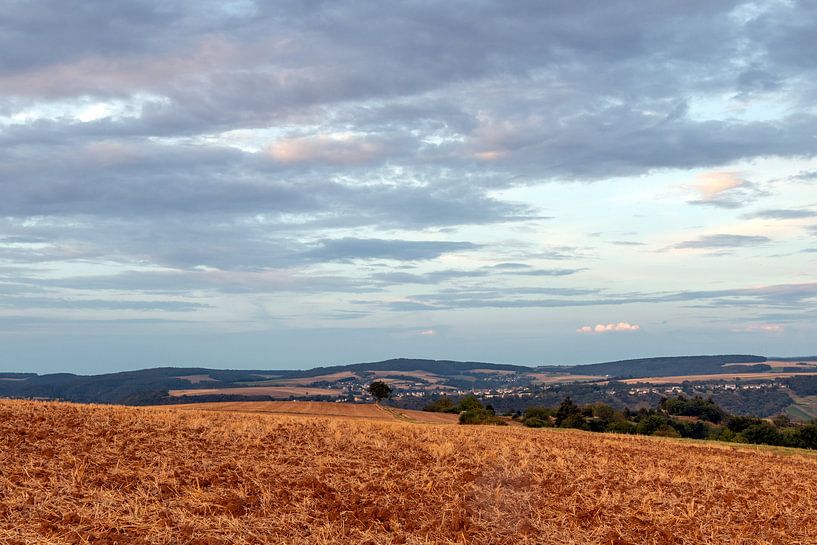 De magnifiques couleurs sur le Rhin par Johan Mooibroek